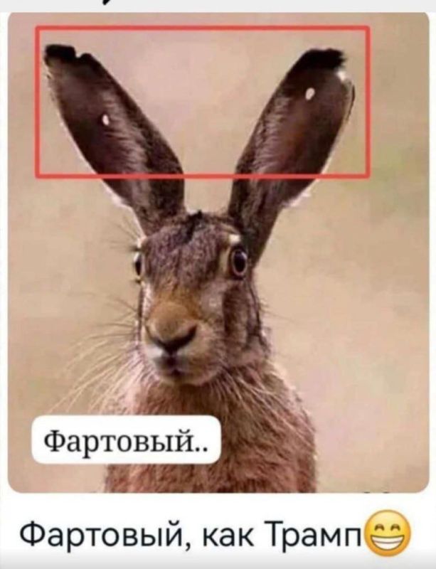 ��� ��� �������� ������ �� ����