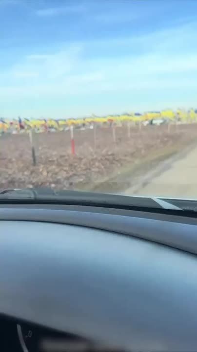 � ������� ������ ������� ��������, ������� ���������� ������������ � �������