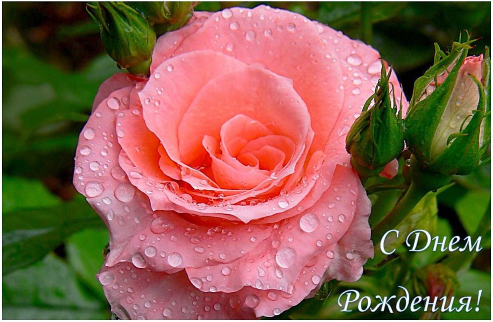 ��������� �����: ����������� ���������� ��������� ������� ���������� ������� �������� ������� � ���� ��������!