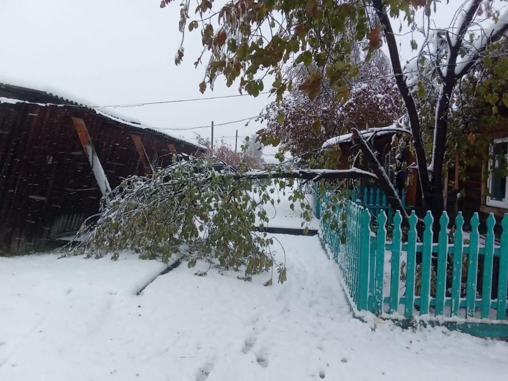 ������ ���� ����� �� ��� ������������� ����, ������� ������� ������� ������