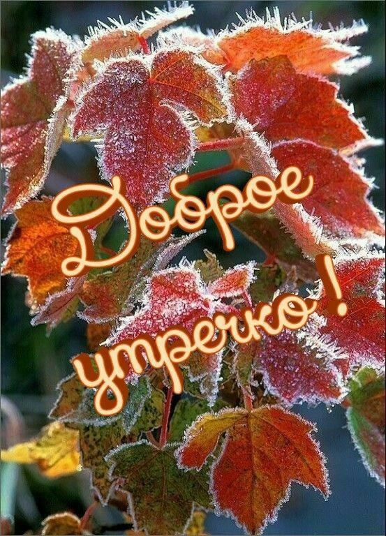 � ������ �����. �����������, 16 �������� � �� ����� ���? ������������� ������ �� ������ ������� ���������� - �����������