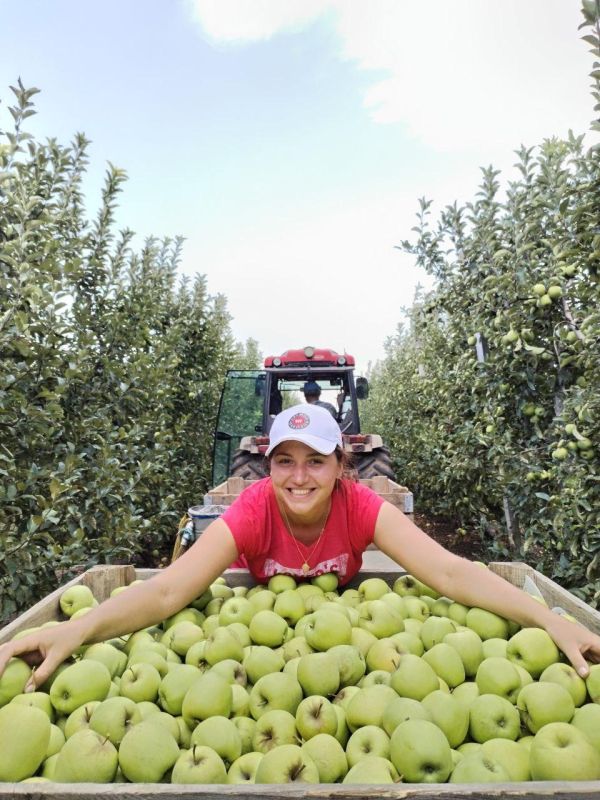 ����� ������ ���� ������� � ���� ������������ ������� ���������� �������