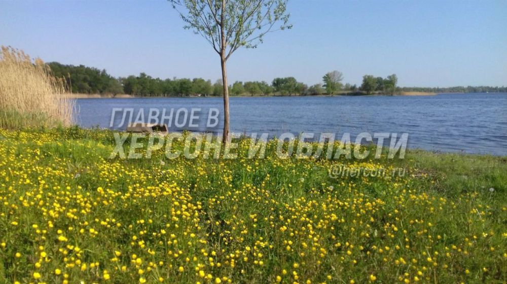 ������ ������� �����, ������ ������ � ������������� � ���������� ������� ���������� ������� ������� ��������� ������� ����������