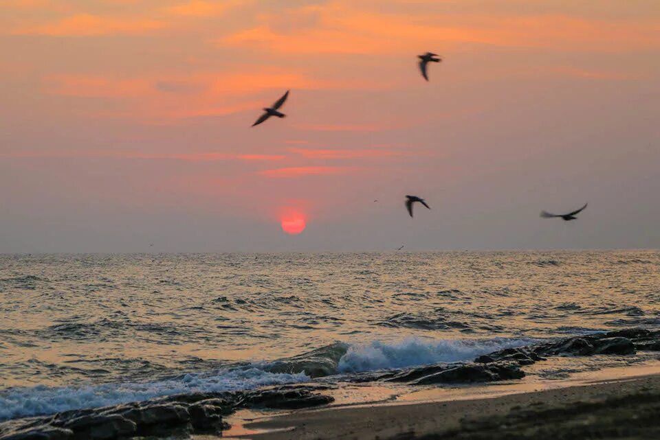 ����� ����������: ������ ����, ������!. ����� ����� ���� ���������� ����� � � ���������� �����������! ����� ������������ ���, ���������� ������������ �����, �������� � �������! ���������� ���� ���������� ����� ����������� �������