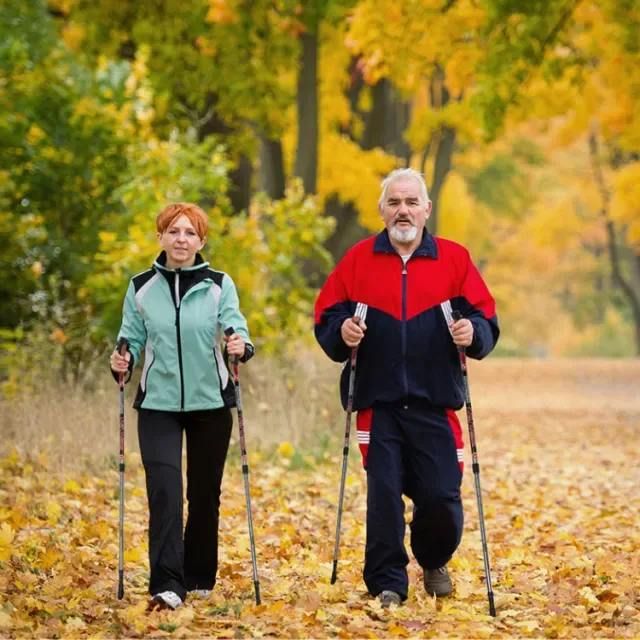 ������������� ������ � �����, ��������� �������