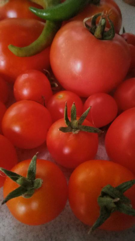 � ������ �����, �����������!