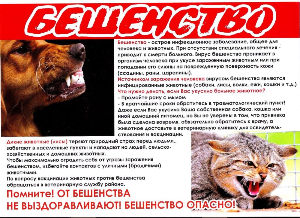 �� ���������� ���������� ������� ����������� ���������� ������� ����������� ���������� ����� ��������