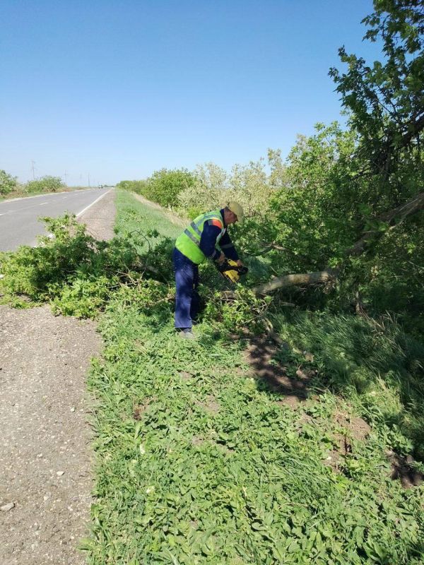 �� �������� ������������� ������ � ������������ ������������� ������ ��������� ������� ������� ����������