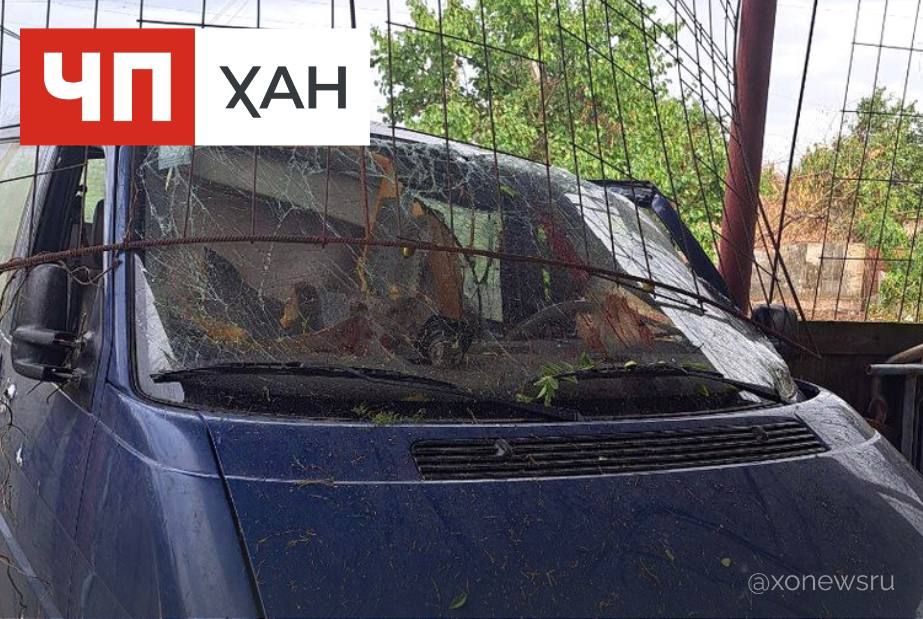 � ����� ������� � ���������� ����� ����������� ���� ����� �������� ��������-����������