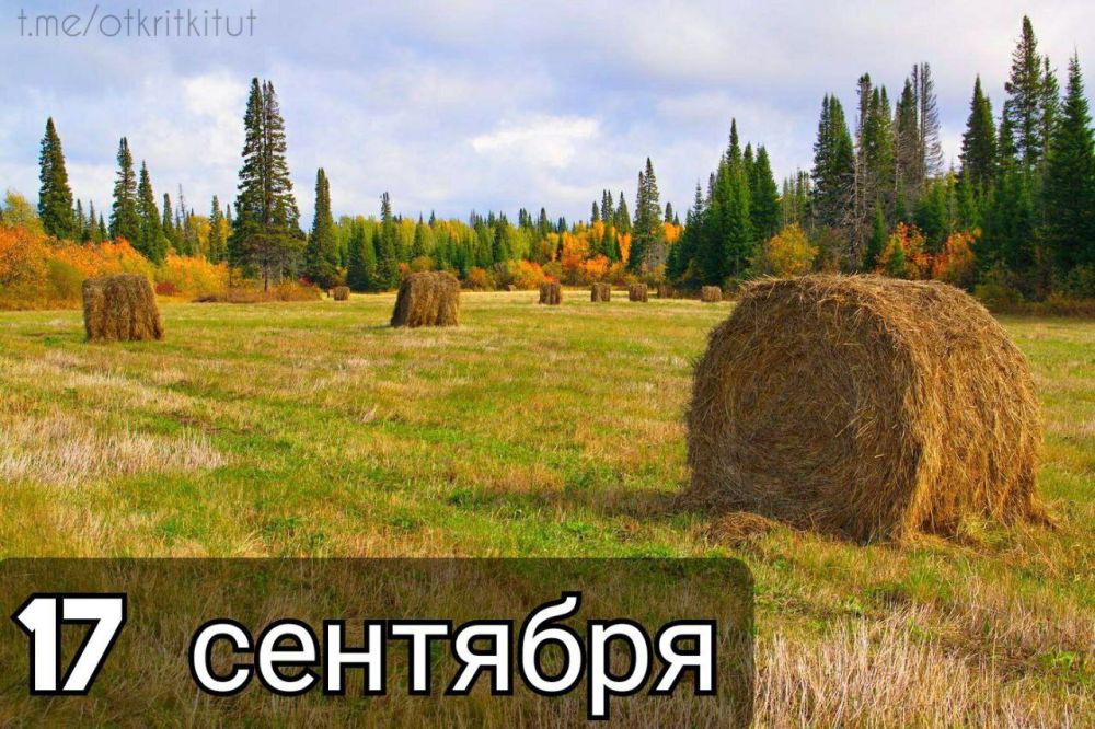 � ������ �����. �������, 17 �������� � �� ����� ���? �� �������������������� ����� ������ ������ ��� ��������� ������ ��������� ������