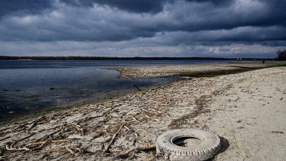 �������� ���������� ������: ��������� ������ ���� ����� ���������� ���������� �������������