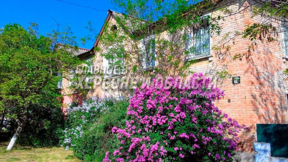 �������� ����� �� ����� ������� � ��������� ��������� ��������� ��������