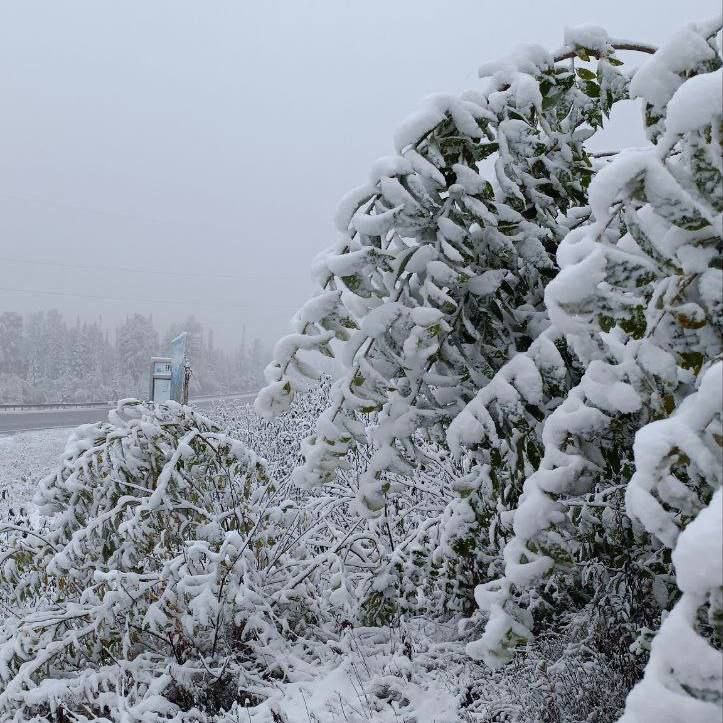 ������ ���� ����� �� ��� ������������� ����