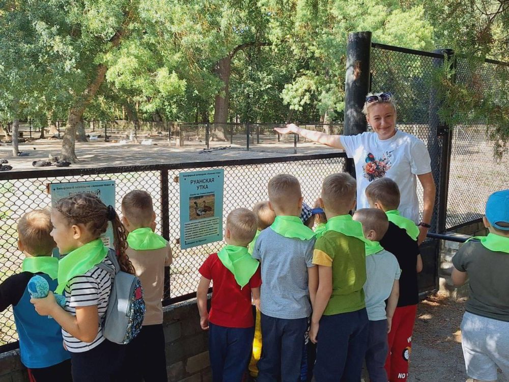 ���������� ����������� ����������� "�������-����" ������� ��������� ��� ������������� �������� ����