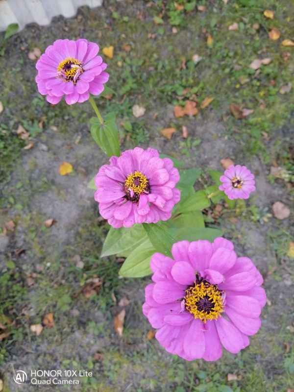 � ������ �����, �����������!