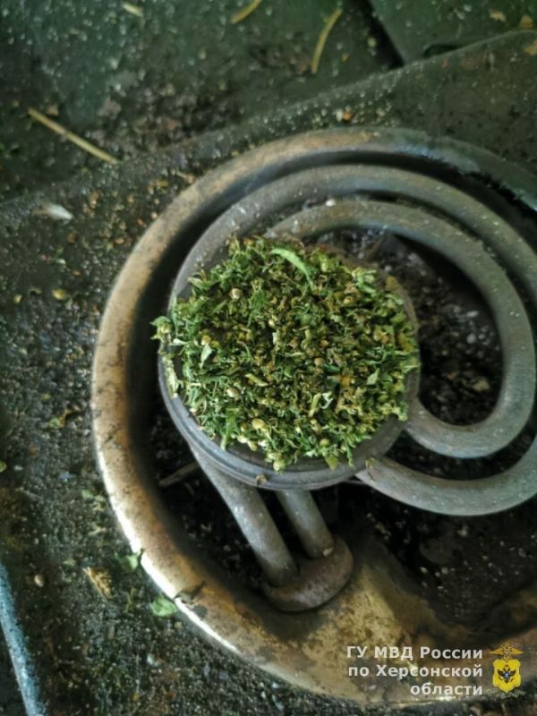 ����������� ������ ������ ��������� � ������ ���������������� ������