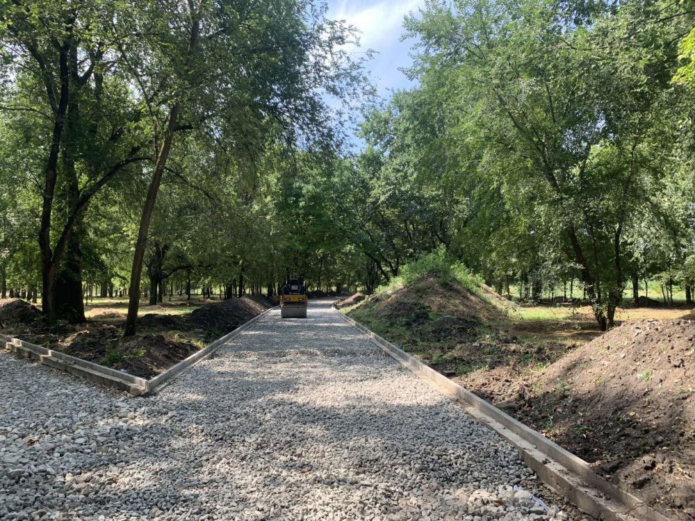 ����� ����������: �� ��������� ������ ������ ������ � �������� � 2019 ���� � �������� ������ ������������� ����� 115 ����� ������������ �����������