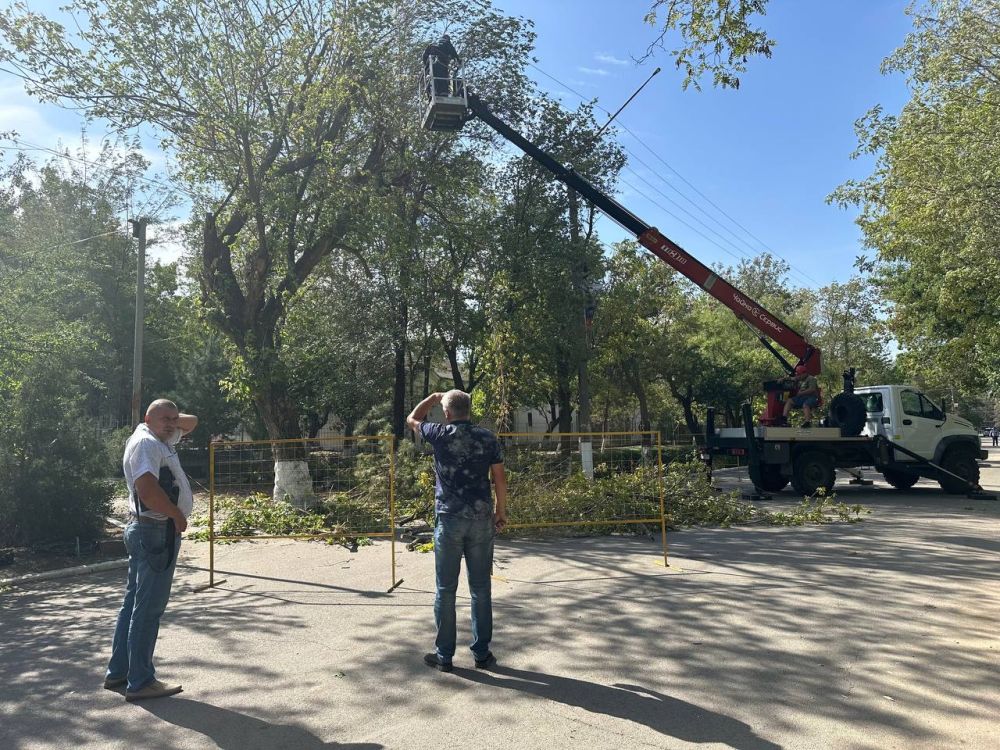 � ������ ������������� ������������ ��������� ���� ���������� ������