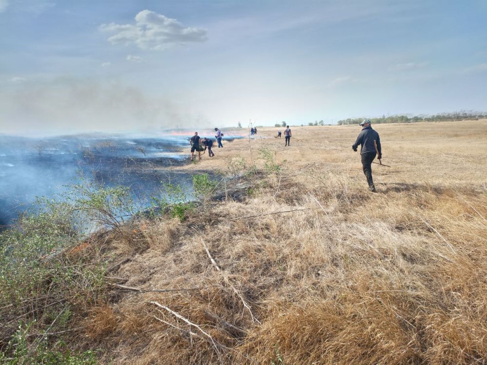 ���������� ����� ����� � ������ ��������� ���������� �������������