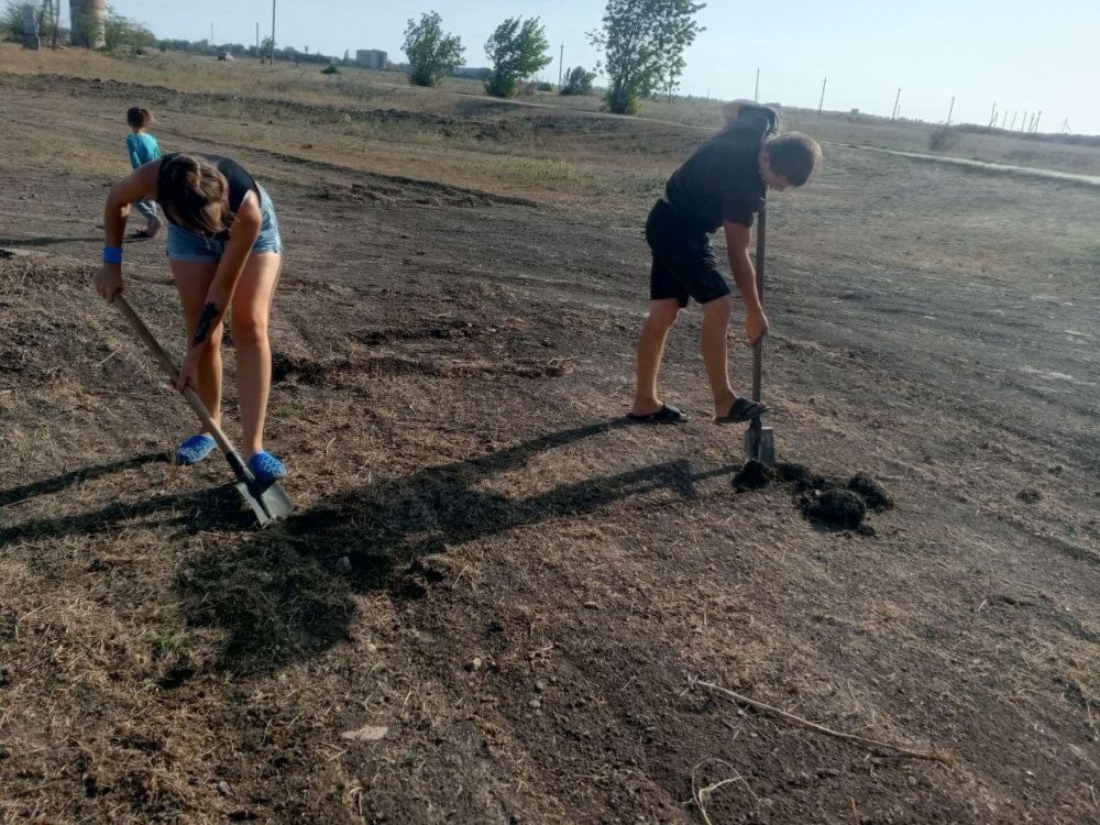 ���������� ������������������ ���� �������� ��������������� ���������� ��������