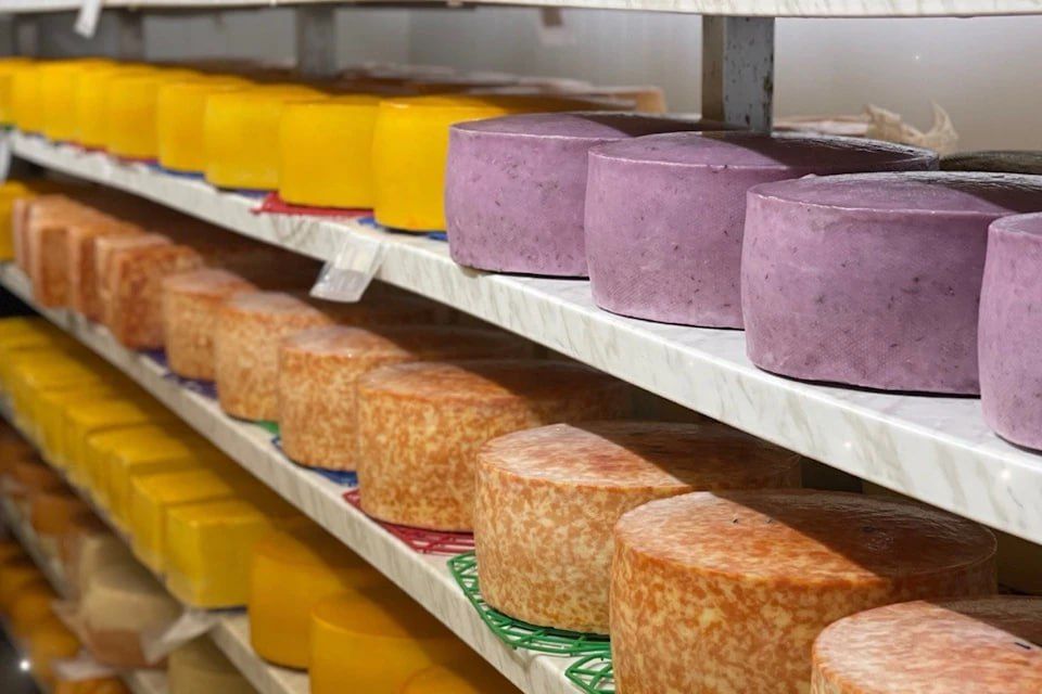 ��������� ���� �� ���������� �������: ������ �������� ��������� ������������� ���� ���������� ������� ���������� ������������