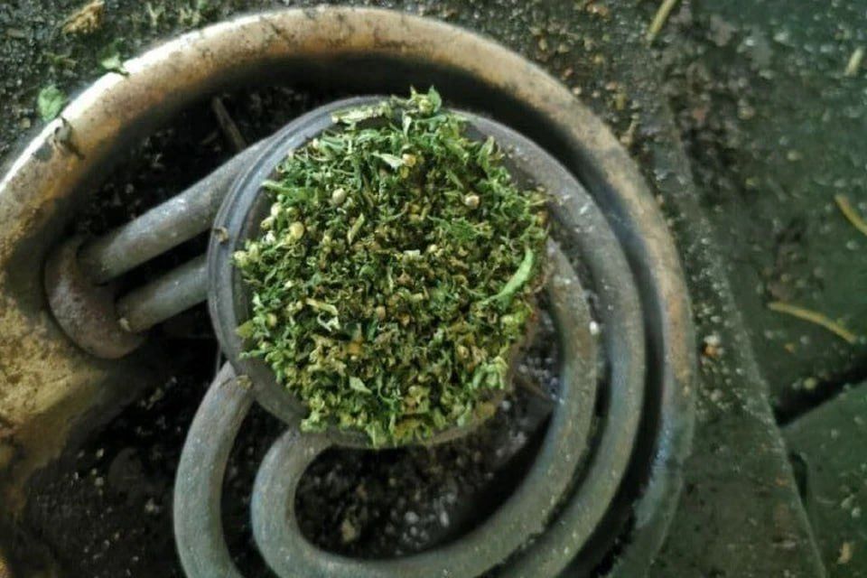 � ������ ���������� ������� ����� ��������� � �������������� ��� �������