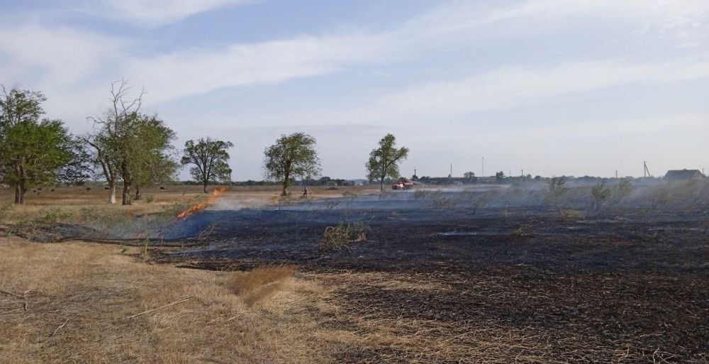 ����� � ���� ��������� ������������������ ������