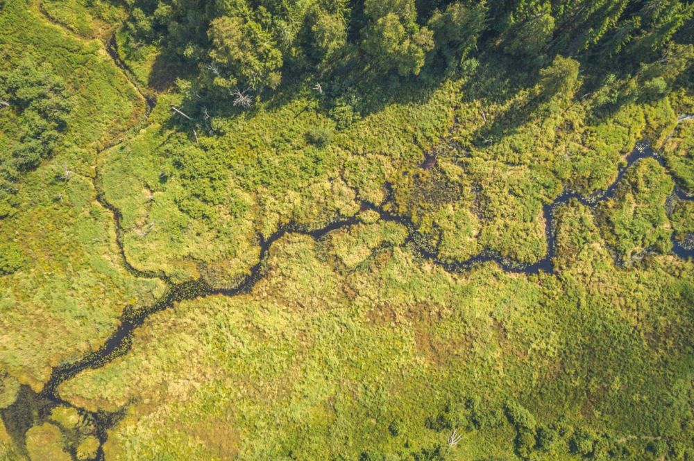 � ���������� ������� �������� �����