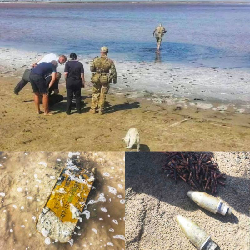 �� ������ ����� ������� � ���������� ������� ���������� ���������� ������ ������ �������� ���������� ������� � ��� �������� �� ����