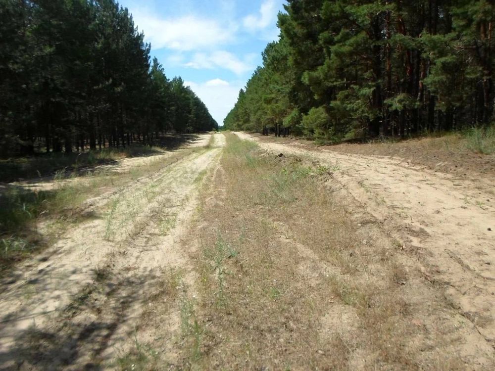 ���������� ������ ����� �������� ������ �� ������������ ������ �������