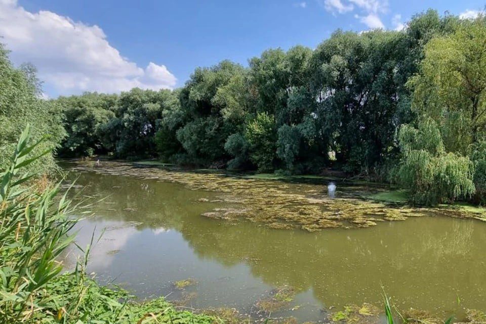 ����� ������, ��� � �������: � ���������� ������� ���� ��������� ���� ��������