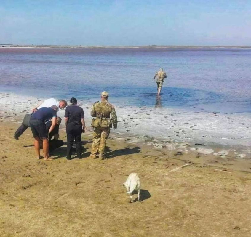 �� ���������� ������������ ���������� ������� �������� �� ������ �����