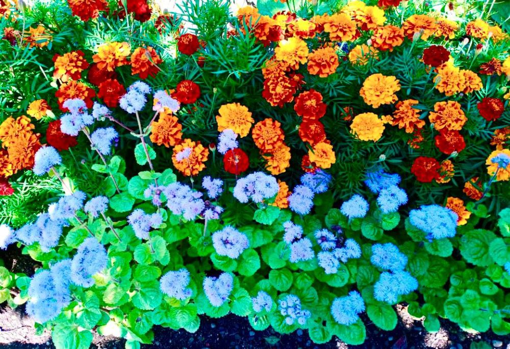 � ������ �����, �����������!