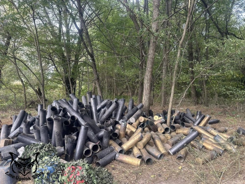 ������� �������, ������� ������� �������������� �������� ������ �� ��������