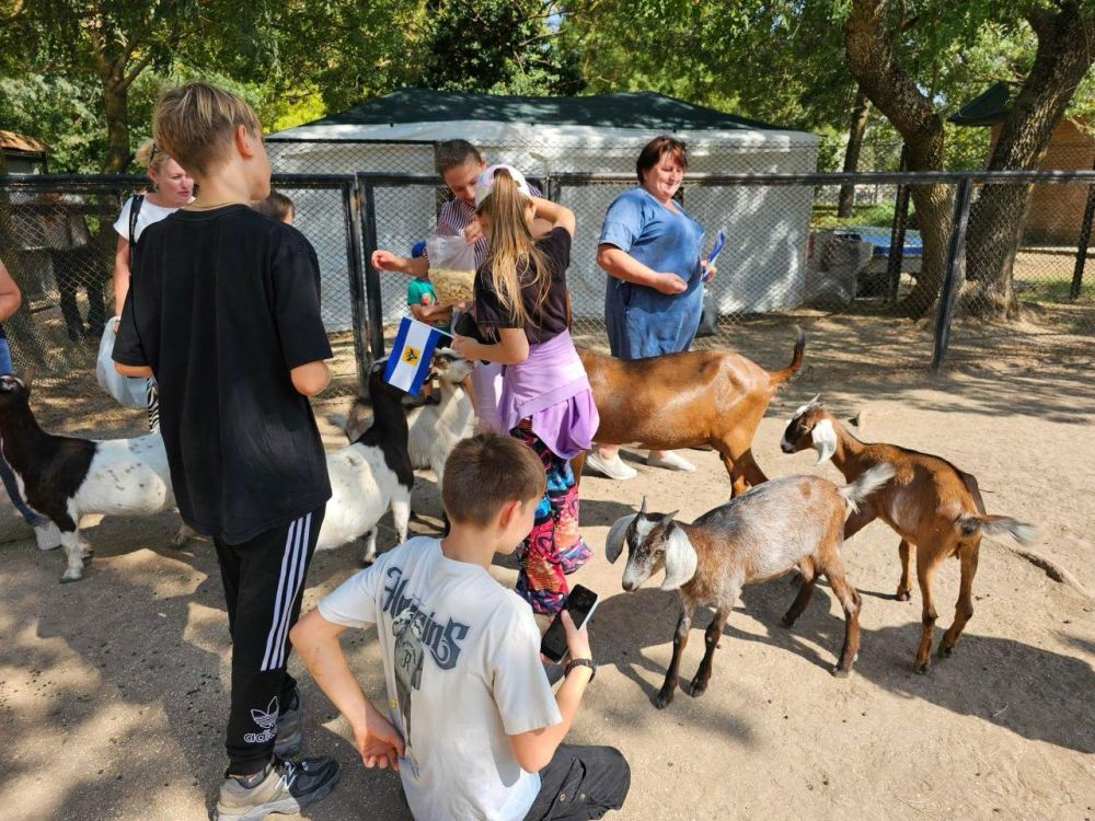 ����� ��������� � ����������� ������ ��� �������� ���������� ���������� ��������-����"