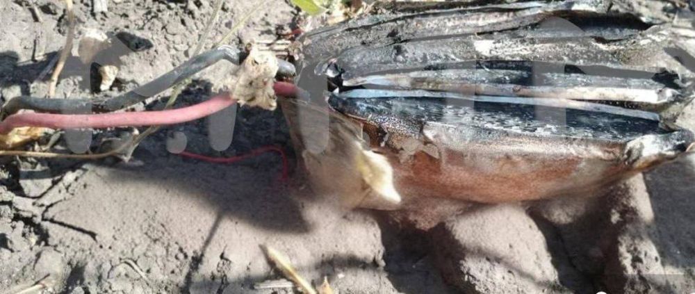 ���������� ���� �������� ���� � ������� �������