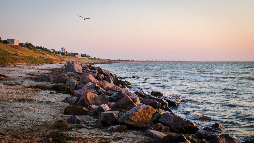 ����� ����������: ������ ����, ������!. �������� ����������, ����� ����������� � ����� ���������� ��������! ���������� ���� ���������� ����� ����������� �������