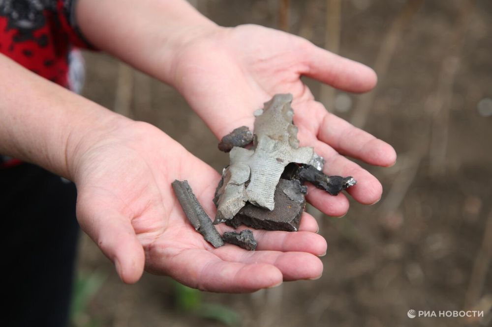 ��� 40 ��� ���������� ����������� ������ �� �����, ������� ��������