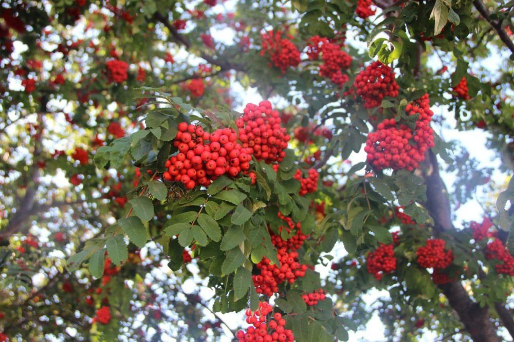 � ������ �����, �����������!