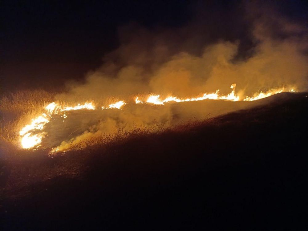 ������ ������ � �.���������