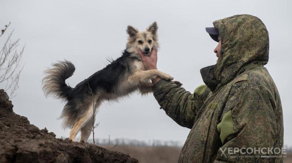 � ��������� ��������� ������������ ��������� �� ���� ��� ������ �� ������