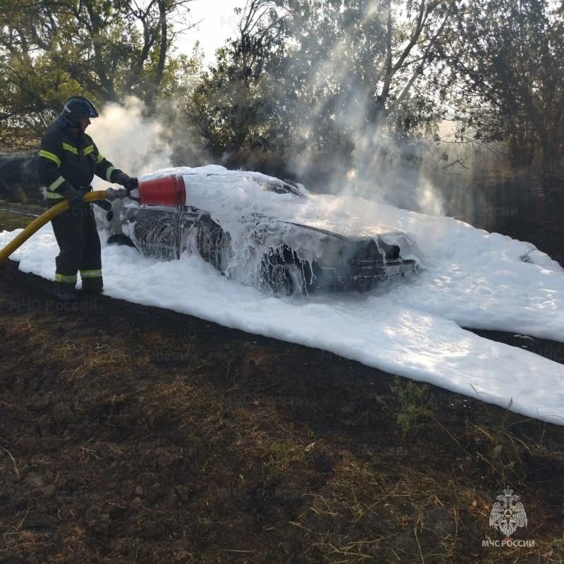 � ������������ ������ �������� ������������� ���������� ����������