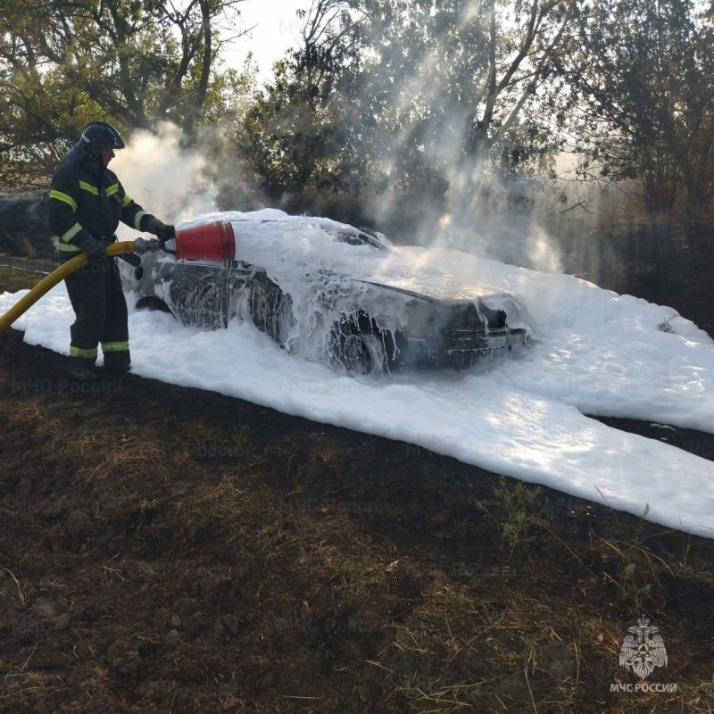 � ������������ ������ ������������� ���������� ��������� ����������