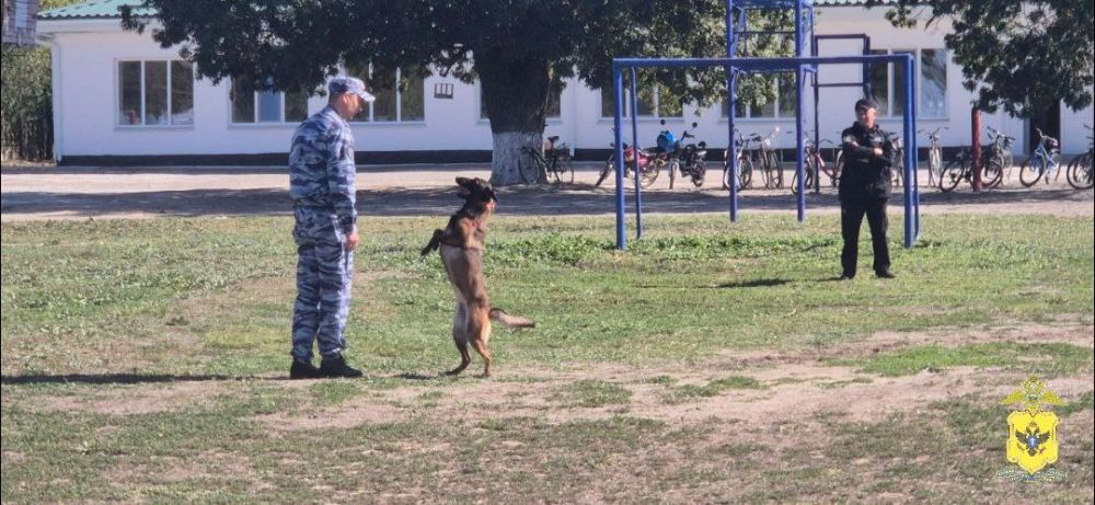 ���������� ������� ������� ���������������� � ������������������ ����������� ��� �������� ������������ ����� ����������� ������