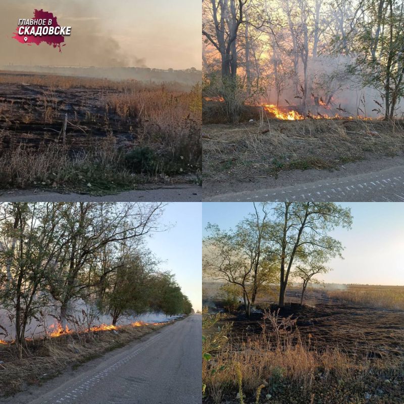 �������������� ������������ ������������� ����� �� ���� � ��������� ������