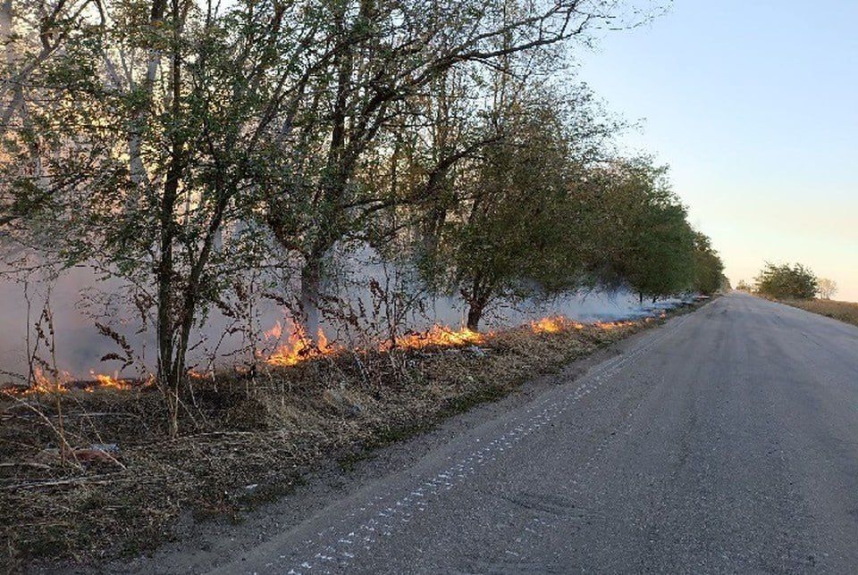 ����� ������������ �������� ����� ����� ���� �������