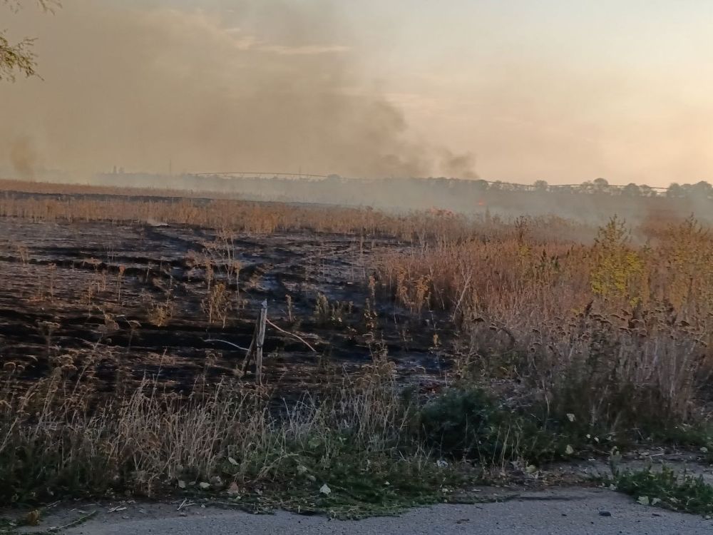 ��������� ������������ ������������� ����� ����� ���� ������� ���������� ������