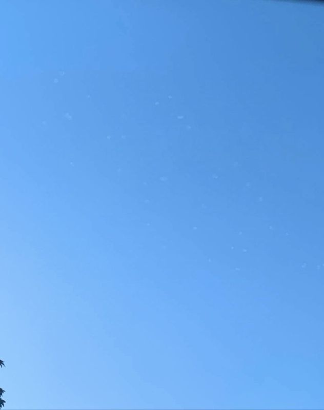 ������ � ������ ����������� � 17.30