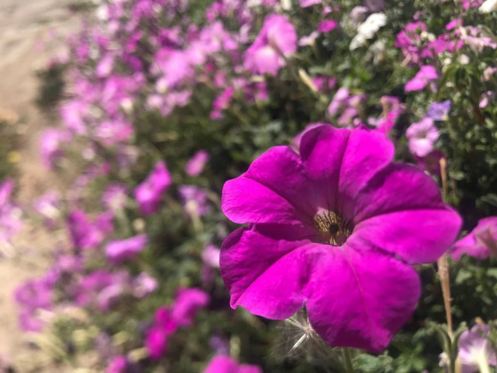 � ������ �����, �����������!