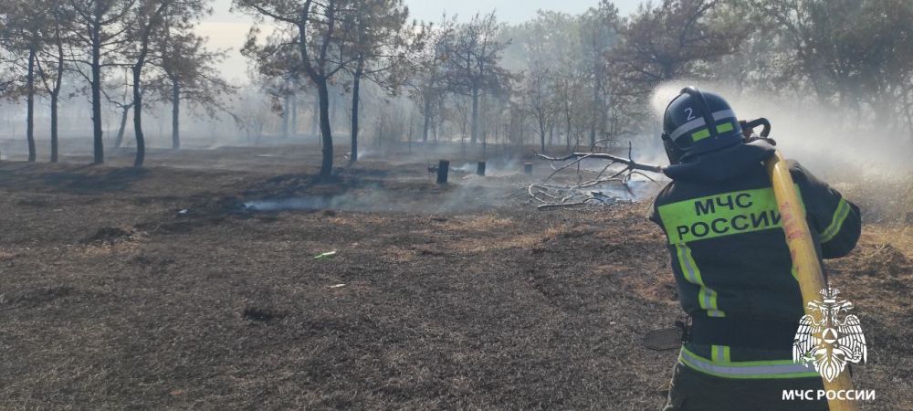 #��������������. ������������� 12 �������